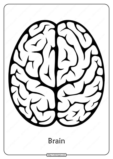 Free Printable Brain Outline Pdf Coloring Pages