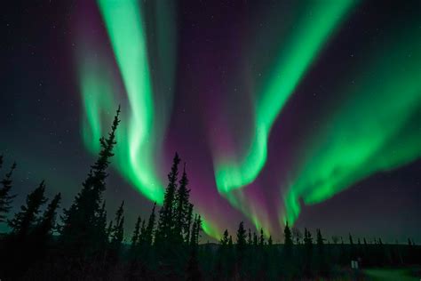 Alaska Northern Lights Tours | Travel Alaska