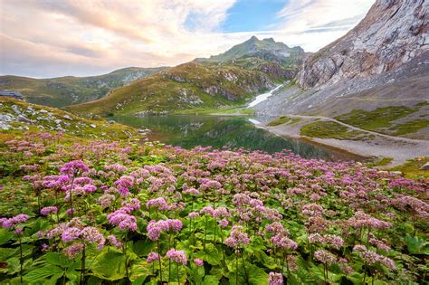 Dawn at Volaia Lake, Carnic Alps, … – License image – 71338823 Image ...