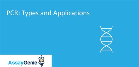 PCR : Types and Applications - Assay Genie