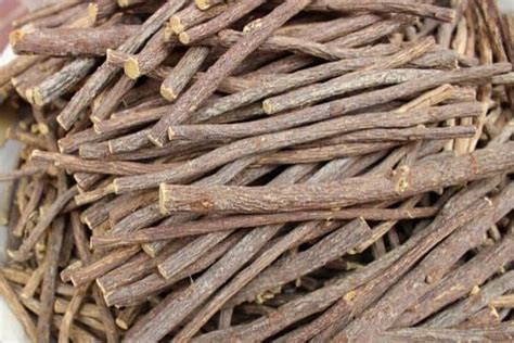 How To Harvest and Dry Licorice Roots - Urban Garden Gal