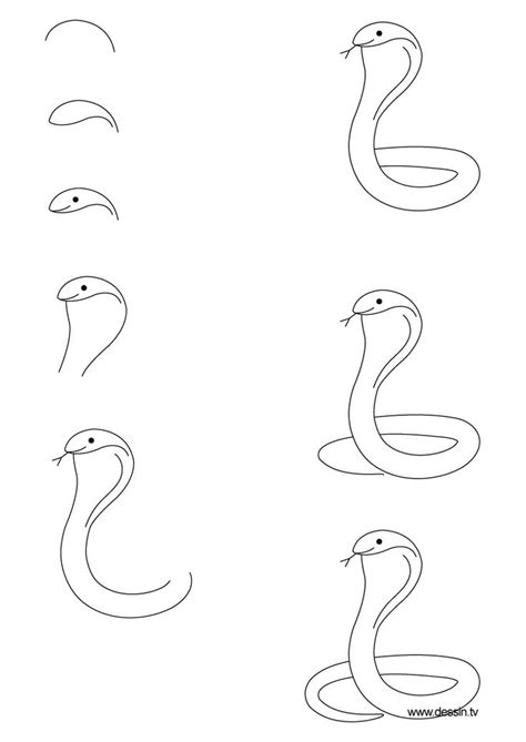 Snake Drawing Step By Step at GetDrawings | Free download