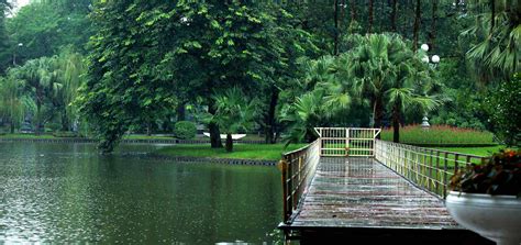 Hanoi Botanical Gardens - Bach Thao Park Hanoi