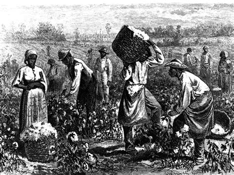 7 Things About the Field Workers During Slavery That You May Not Know