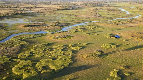 Fly Me around the Okavango Delta | Luxury African Safaris,South America ...