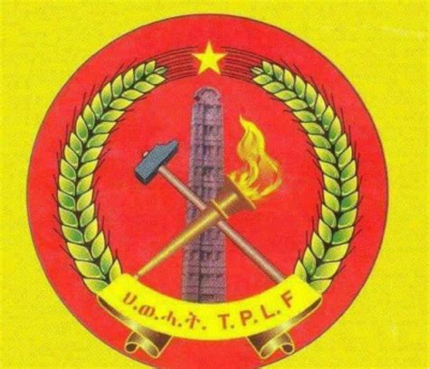 TPLF begins disarmament of heavy weapons – Mereja