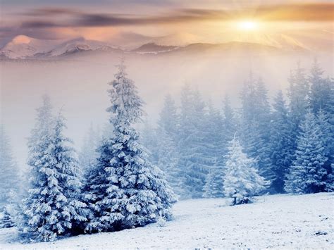 Winter Wonderland Scenes Wallpaper (38+ images)