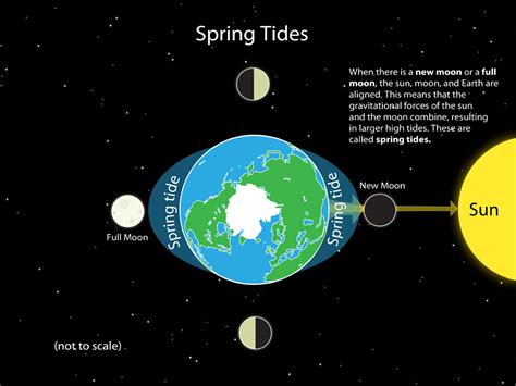 Ocean Tides Diagram