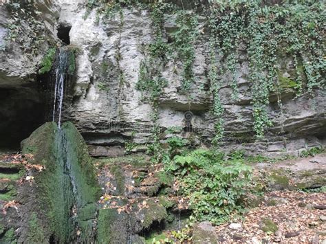 Mountain Rajac Serbia a Mountain Spring of Waterdow Stock Image - Image ...