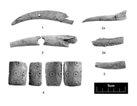 Archaeologists Uncover Exciting 'Time Capsule' of Iron Age Artifacts in ...