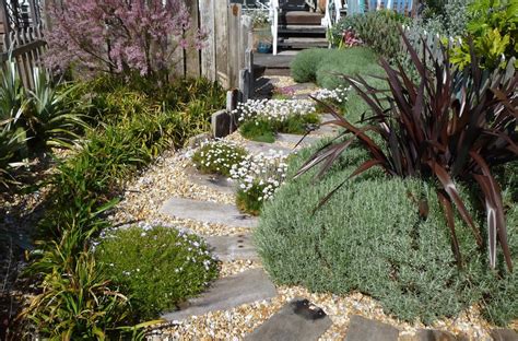 Beach Gardens Gallery | Coastal gardens, Beach garden design, Small ...