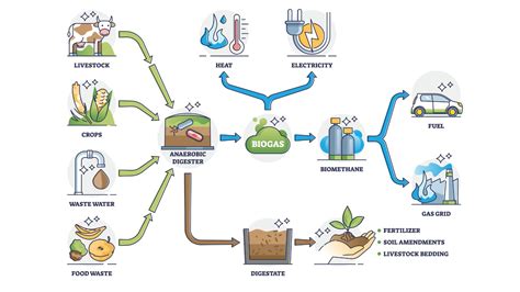 How energy production works in a biomass plant | Gruppo AB