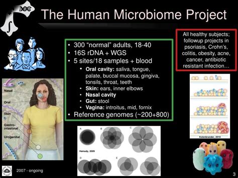 PPT - Computational metagenomics and the human microbiome PowerPoint ...