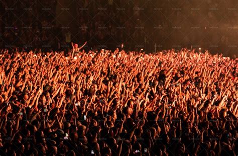 Cheering Concert Crowd - Stock Photos | Motion Array