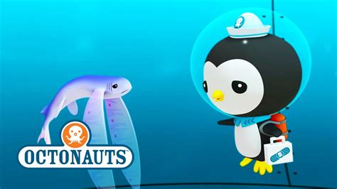 Octonauts: Help Out Flying Fish - YouTube