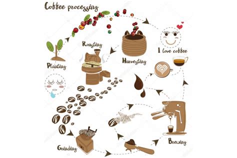 Coffee Roasting Process - Helena Coffee Vietnam