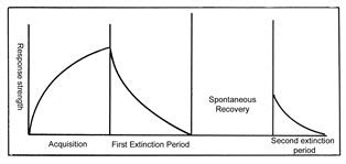 Spontaneous Recovery in Psychology: Definition & Examples | Study.com