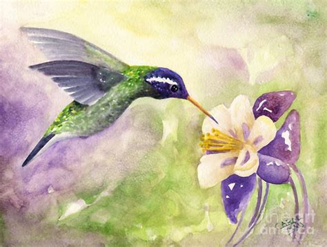 White-eared Hummingbird Print by Art by Carol May | Hummingbird ...