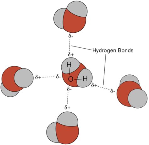 Hydrogen Bond