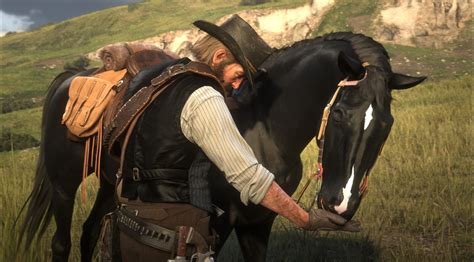 Got this black Arabian for free in Saint Denis : r/RDR2