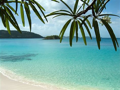 Cinnamon Bay Beach | The Ultimate St John Beach Guide