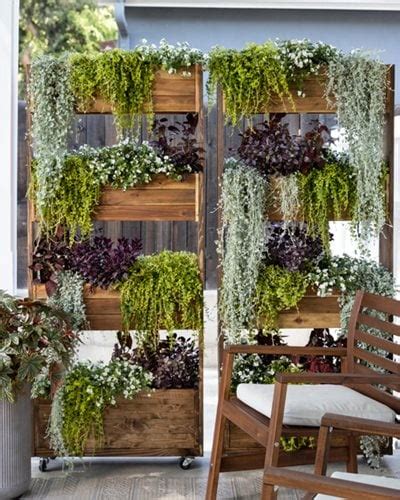 Creating Vertical Gardens With Succulents on Rooftops: Maximizing Space ...