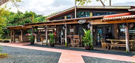 ATV ride and lunch - Carabali Bar & Grill, Luquillo Traveller Reviews ...