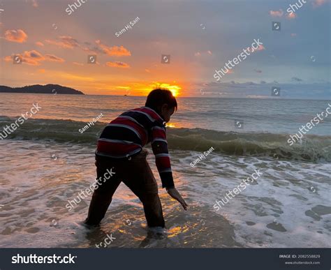 110 Teluk senangin Images, Stock Photos & Vectors | Shutterstock