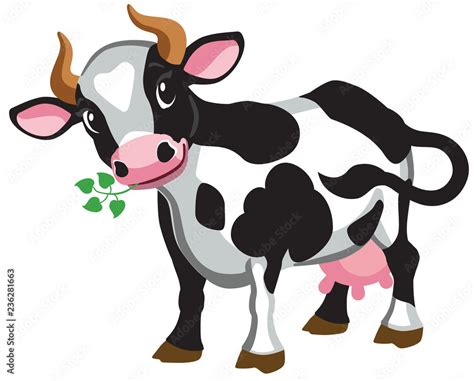 cartoon black cow . Isolated vector illustration Stock Vector | Adobe Stock