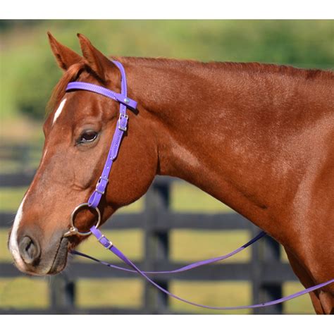 High-Quality Western Bridle Made from Beta Biothane – Two Horse Tack