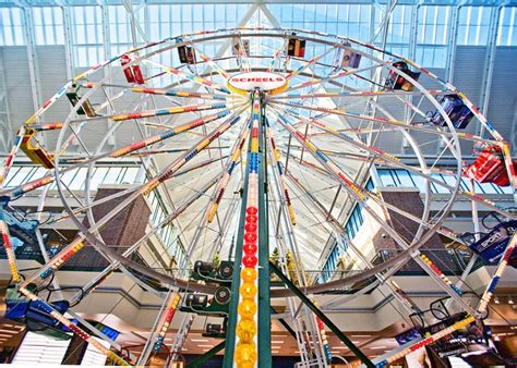 Scheels - Sandy, Utah | 14 year old boy, 14 year old, Ferris wheel