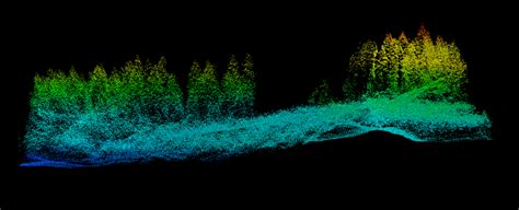 Processing LiDAR Data | Technologies to Improve Forest Management