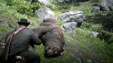 What to do with legendary bear pelt in Red Dead Redemption 2 | Shacknews