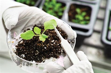 What Degree Do You Need To Be A Soil Scientist – CollegeLearners.com