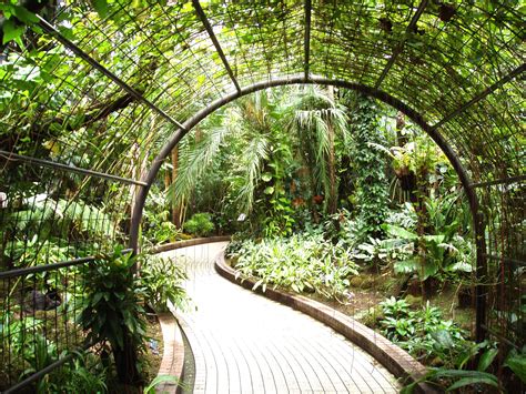 File:Kyoto Botanical Garden - inside conservatory.JPG - Wikipedia