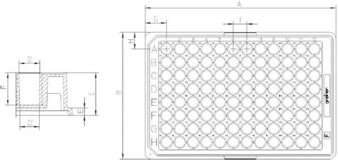 Standard 96-well plate. Wells are cylindrical with a diameter of 7 mm ...