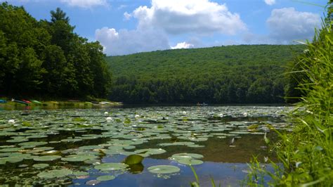 Things to See & Do at Tuscarora State Park | DiscoverNEPA