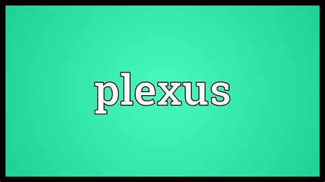 Plexus Meaning - YouTube