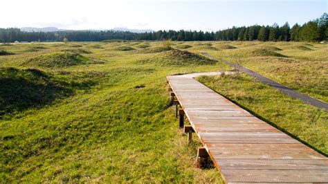 The Mima Mounds in Washington Are a Phenomenon Unexplained by Science ...