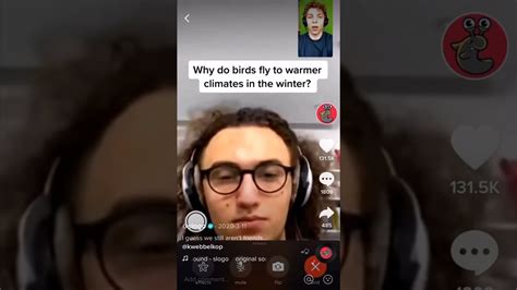 Slogo Face timed Kwebbelkop after many Years!!!Funny Tiktok - YouTube