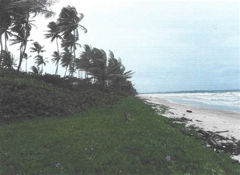 Manzanilla Beach Front Lands,7306sqft; SALE | My Bunch of Keys