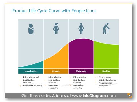 4 Examples of Presenting Product Life Cycle by PPT Diagrams