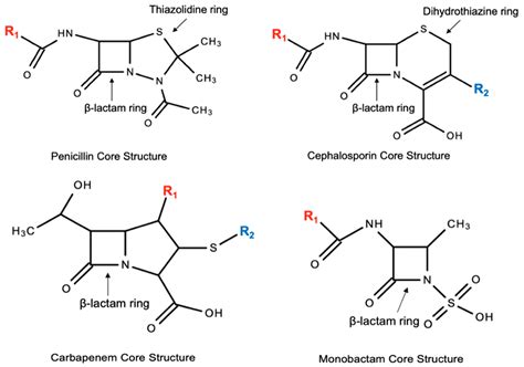 Pharmacy | Free Full-Text | Cephalosporins: A Focus on Side Chains and ...