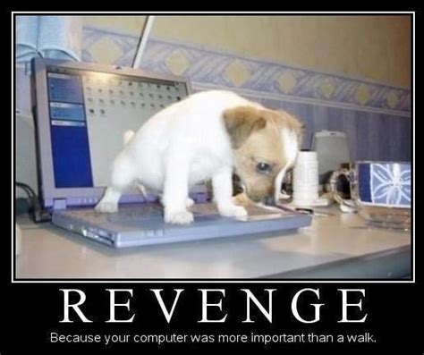 Funny Revenge Quotes. QuotesGram