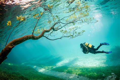 Beautiful Underwater Ocean Scenery