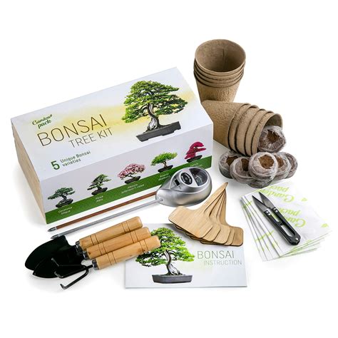 Buy Grow Your Own Bonsai Tree Kit by Garden Pack - 5 Different Bonsai ...