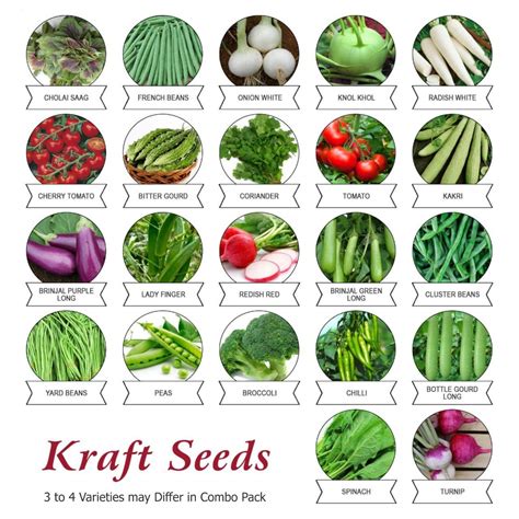 Buy Kraft Vegetable Indian Exotic, Heirloom (Pack of 22) Online at ...