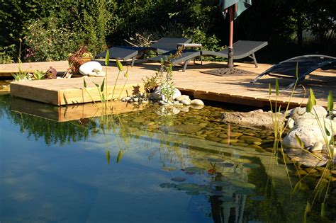 How to Build a Natural Swimming Pool | Mother Earth News