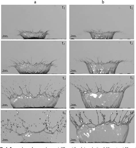 Figure 2 from The differences in crown formation during the splash on ...