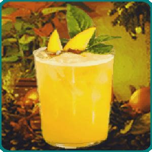 Mango Mule Recipe